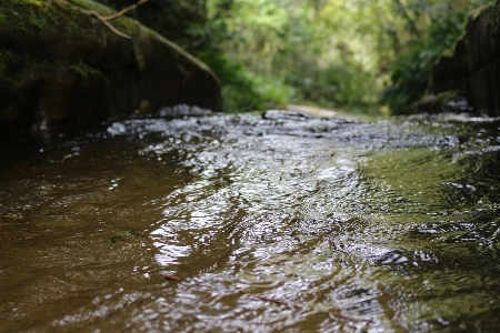 Nature water stream body of Photo