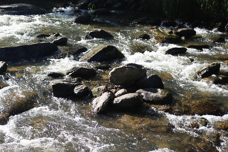 Nature water stream body of Photo