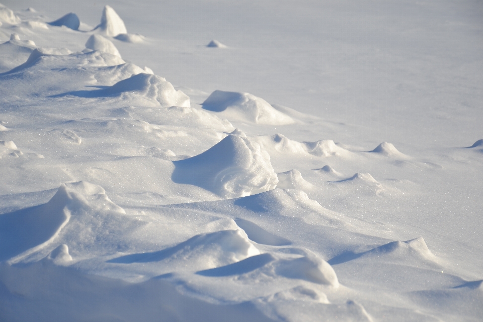 Winter field snow snowfield