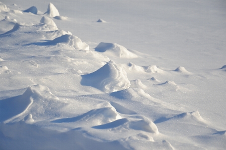 Winter field snow snowfield Photo