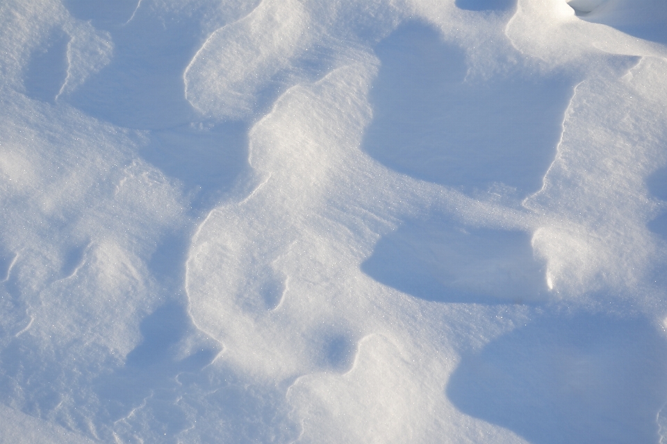 Winter field snow snowfield