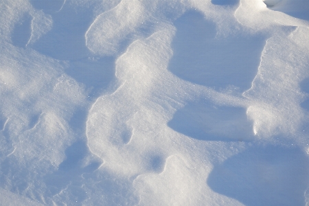 Winter field snow snowfield Photo