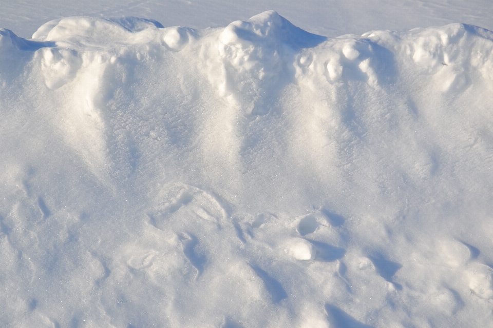 Winter field snow roadside