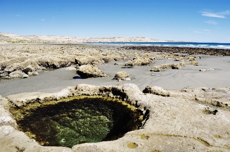 Argentina beach sea shore Photo