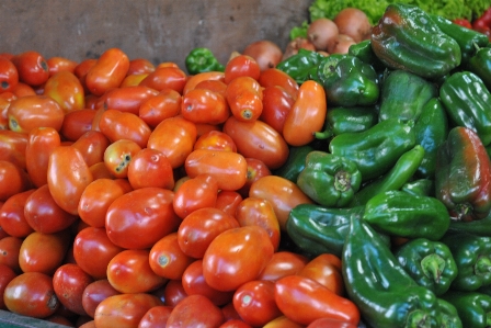 Foto Vermelho verde tomate amanhã
