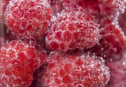 Organic pattern raspberry soda Photo