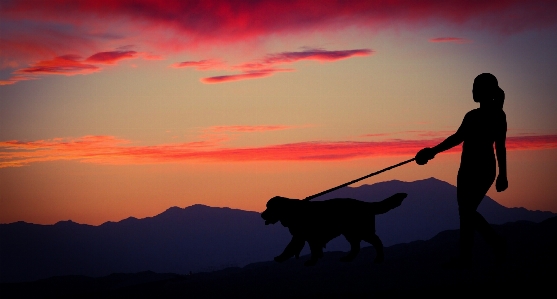 Foto Wanita anjing matahari terbenam fajar