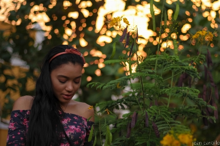 Yellow flowers sunset person Photo