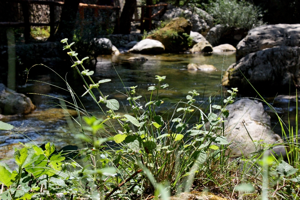 Air gunung terjun alam