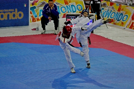 スポーツ コンタクトスポーツ
 武道
 スポーツ会場
 写真