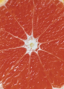 Acid background blood orange Photo