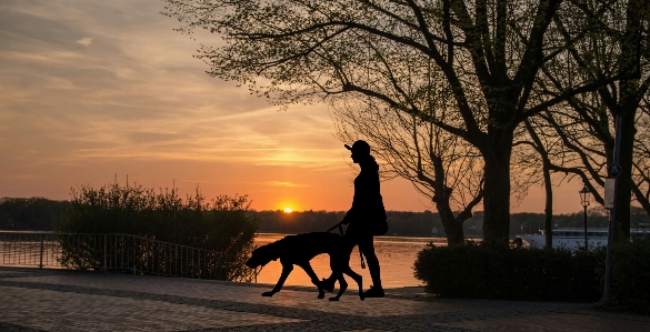 Walking dog women people Photo