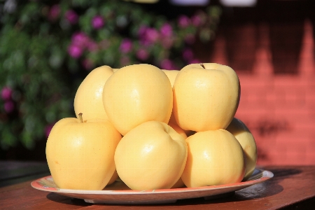 Äpfel frucht gesundheit fitness Foto