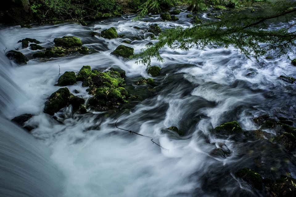 Frühling stromschnellen
 fluss wasser