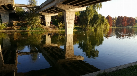 Nature park water reflections Photo