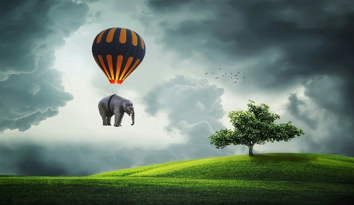 Elefant ballon fliege baum Foto