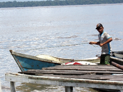 Amazon brazil nature river Photo