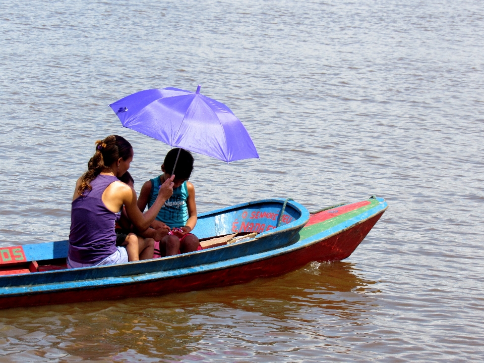 Amazon brasil natureza rio