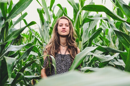 Photography girl grass crop Photo