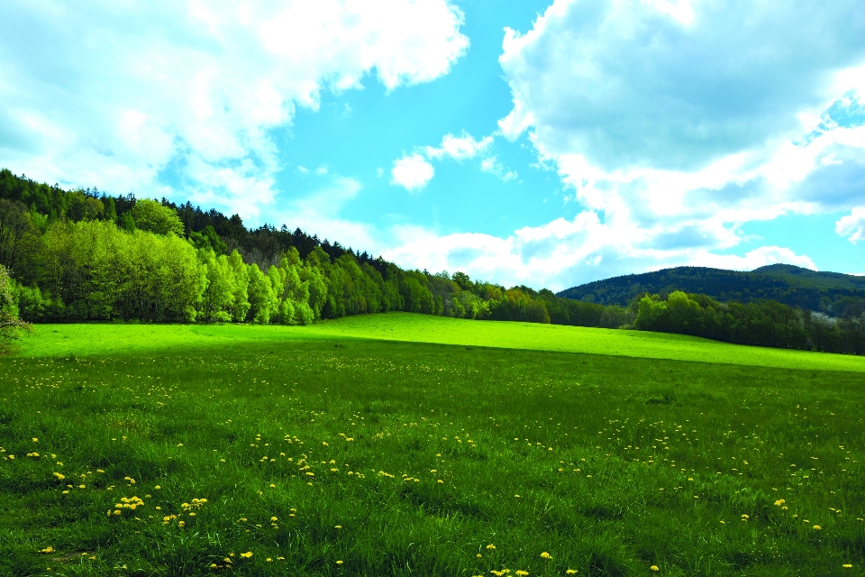 Sky fields grassland nature