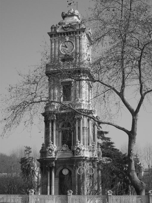 Bw zdjęcie
 czarny i biały
 element krajobrazu fotografia monochromatyczna
