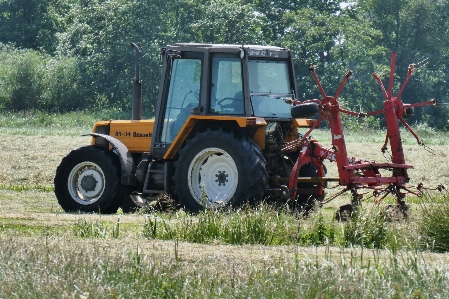 Foto Trattore prato
 macchinari agricoli
 veicolo