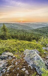 Nature wilderness vegetation sky Photo