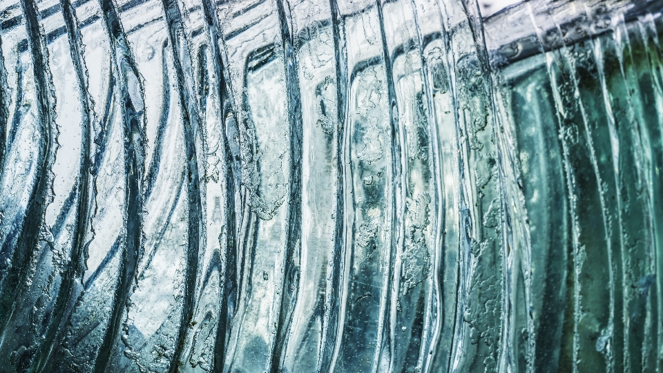 Grün wasser baum eiszapfen
