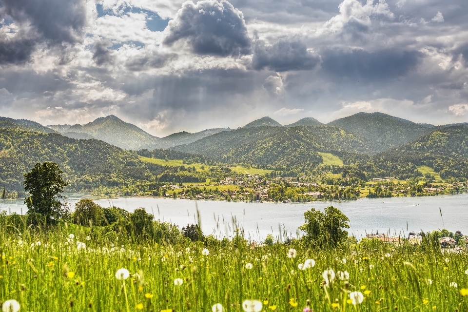 Nature sky vegetation grassland