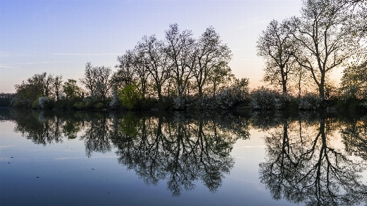 Reflection water waterway tree Photo