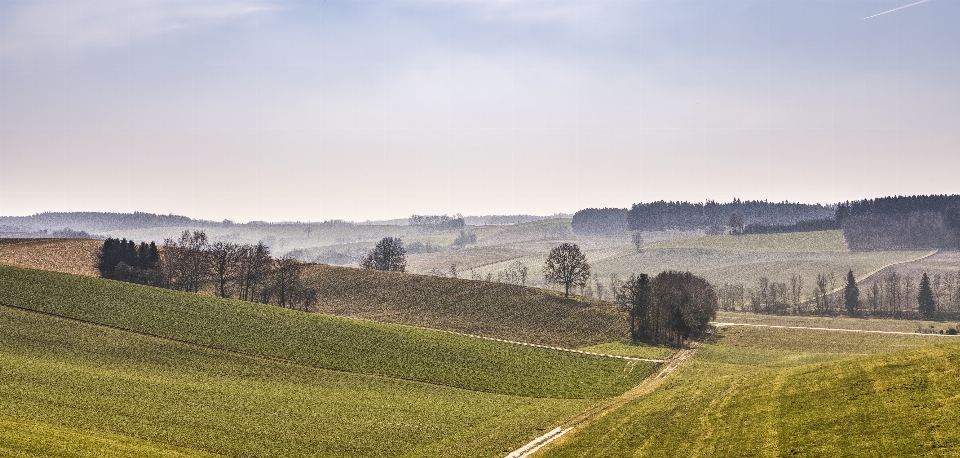 Campo pradera
 cielo tierras altas