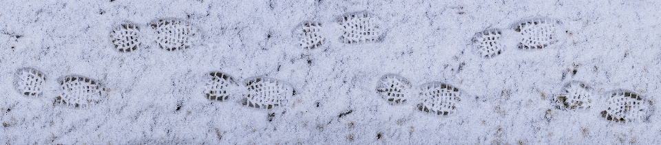 Einfrieren frost schnee winter