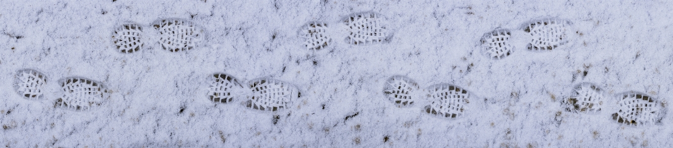 Photo Gelé gel neige hiver