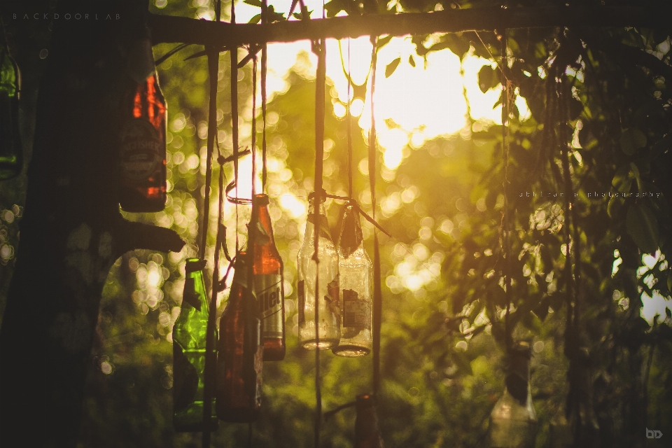 Fond d'écran nostalgie bière nature