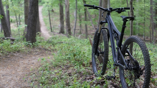 Bike mountain cycling woods Photo