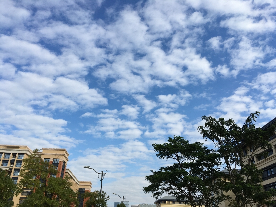 Nuvem azul céu branco