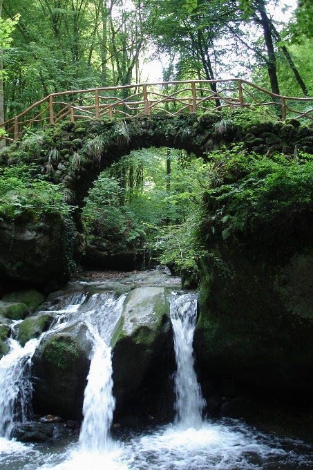 自然 水資源
 水域
 滝