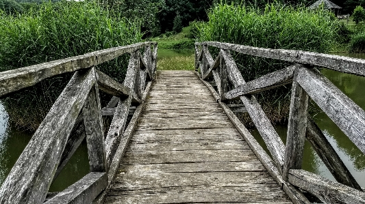 Bridge wood rural acacia Photo