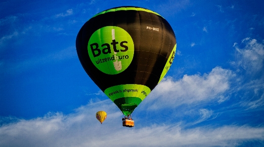 Foto Globo aerostático festival cielo paseos en globo
