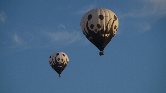 Foto Globo aerostático festival cielo paseos en globo
