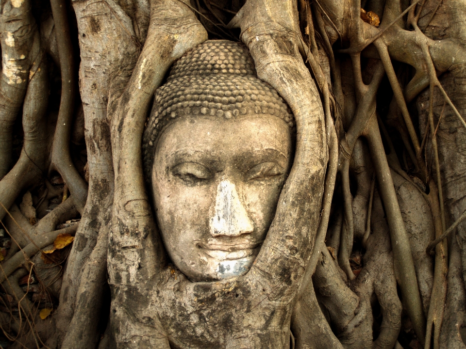 Thailand culture travel temple