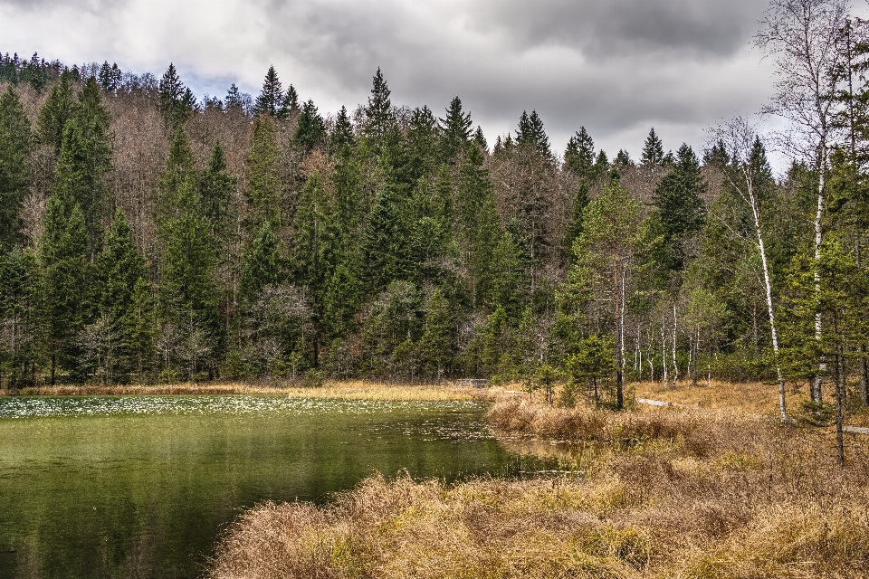 Natura ecosistema
 selvaggia
 riserva naturale
