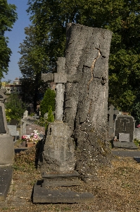 Photo Cimetière crucifix
 mort arbre