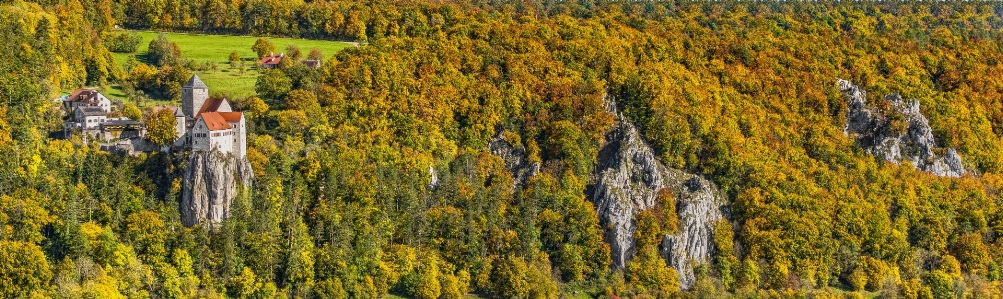 Foto Natura ecosistema
 riserva naturale
 vegetazione