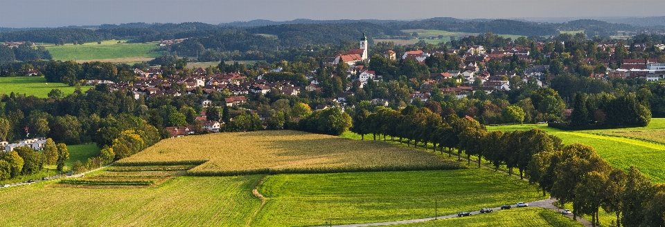 Wiese
 feld luftaufnahmen
 vogelperspektive
