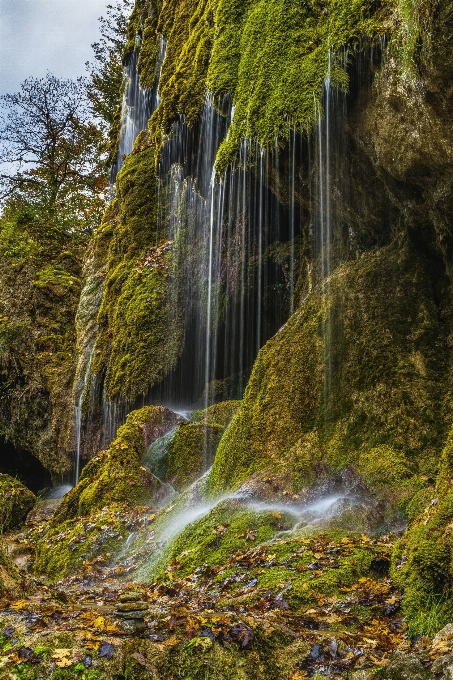 Waterfall water nature vegetation