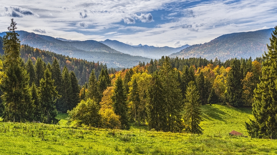 Nature ecosystem wilderness reserve