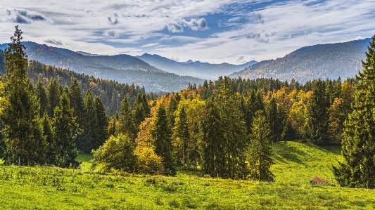 Nature ecosystem wilderness reserve Photo