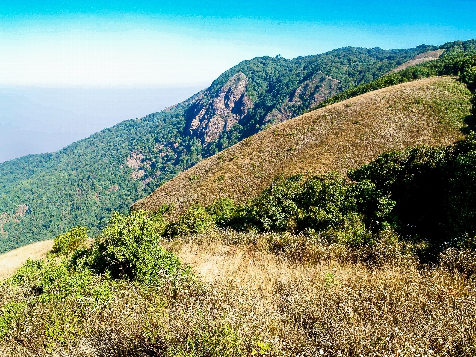 Thailand landscape travel chiangmai