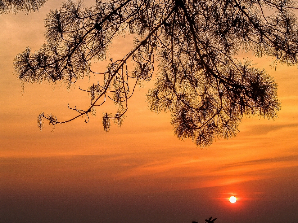 Sunset sunrise nature sky